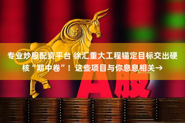 专业炒股配资平台 徐汇重大工程锚定目标交出硬核“期中卷”！这些项目与你息息相关→
